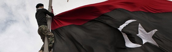 Visa pour l’image – AphF11